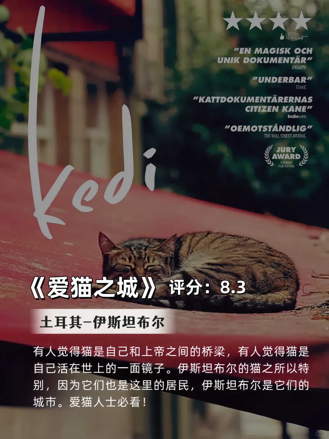 五一🔥喜欢旅游的你，一定要看的15部电影