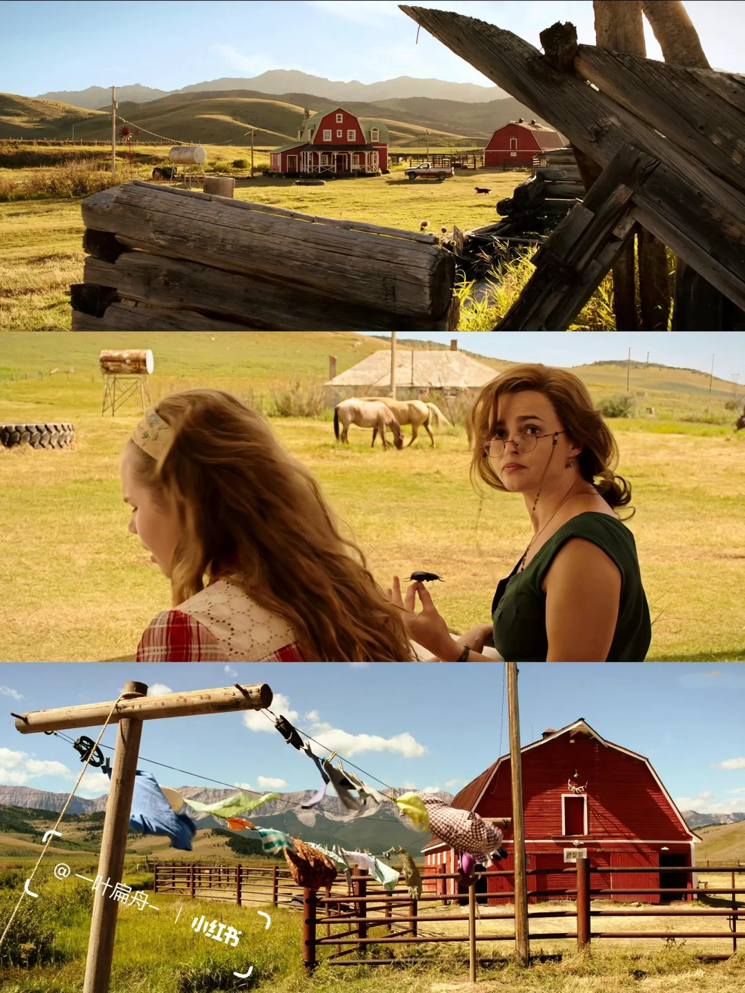 近期看过最好看的电影😭向全世界推荐！！！