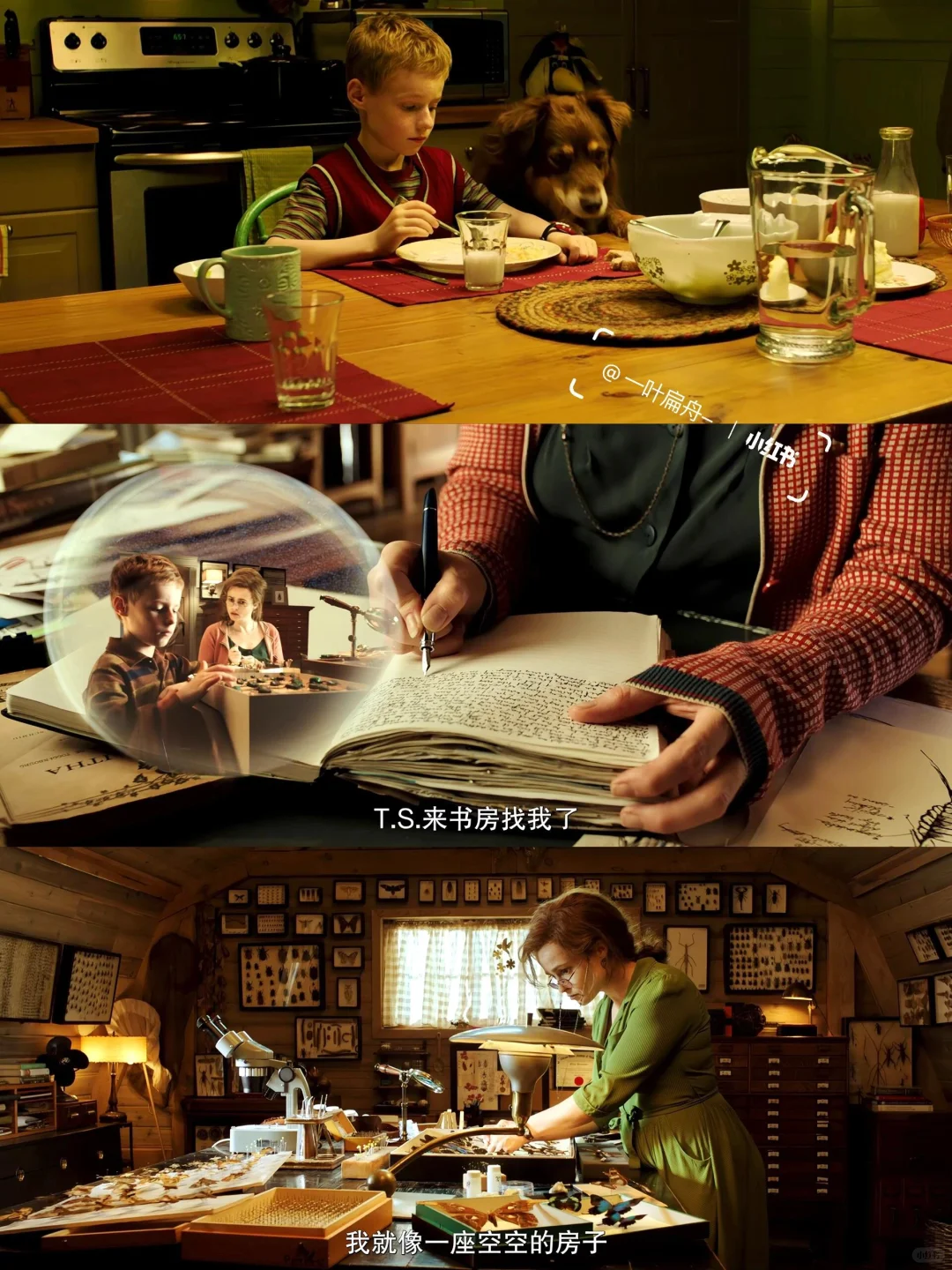 近期看过最好看的电影😭向全世界推荐！！！