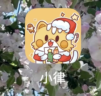 我给这个软件起名字叫：小律