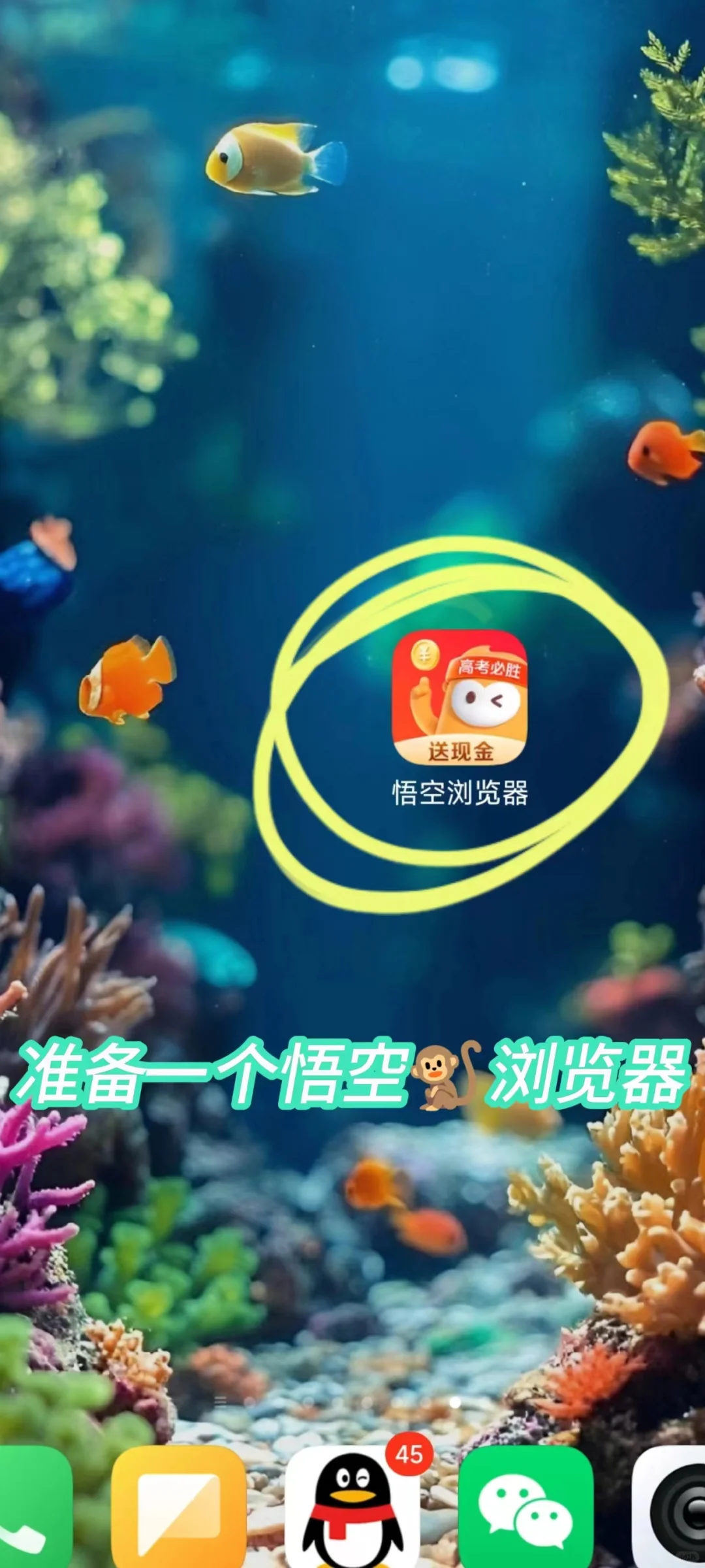 姐妹们不会还在为追剧而苦恼吧!