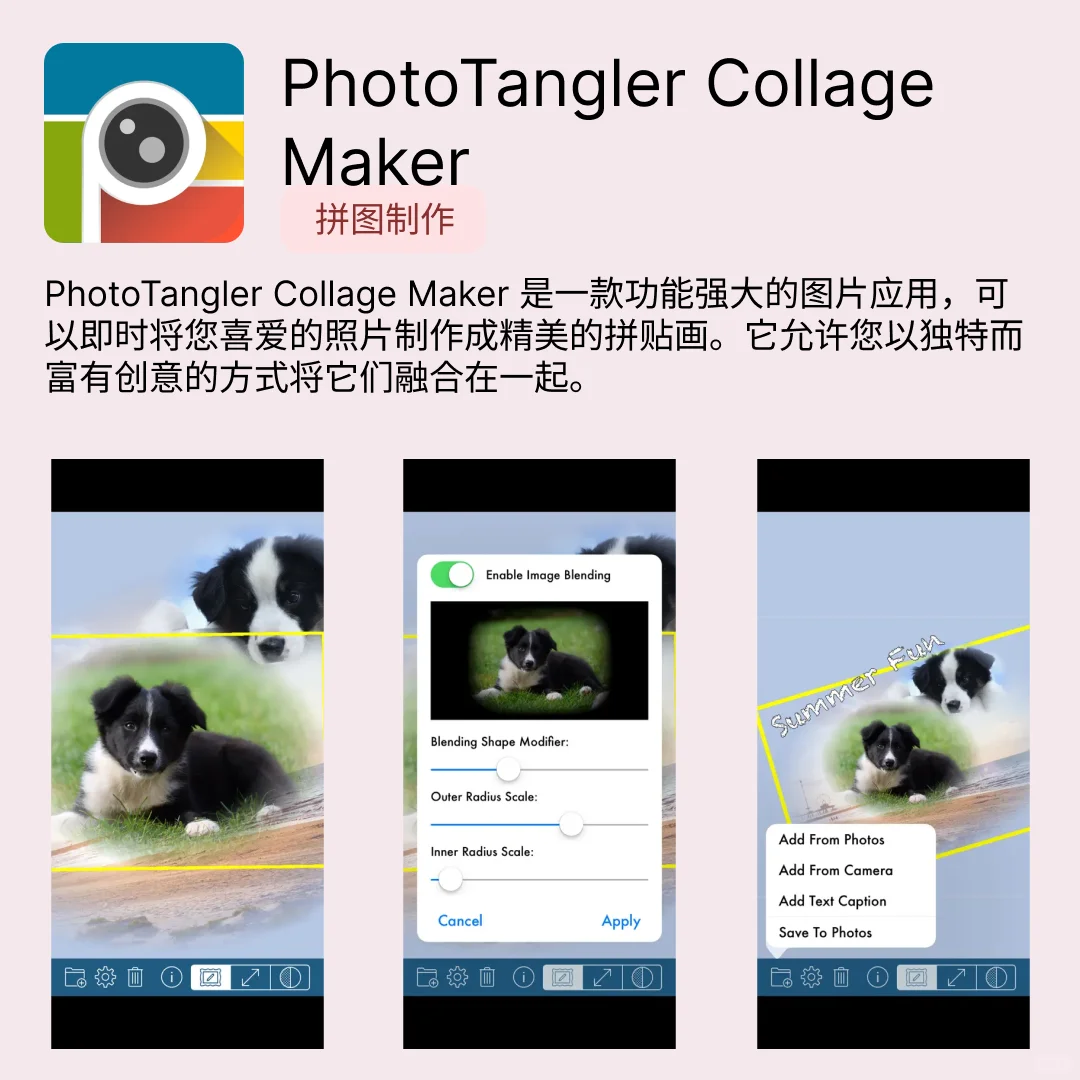 iOS限免应用｜2025.04.24