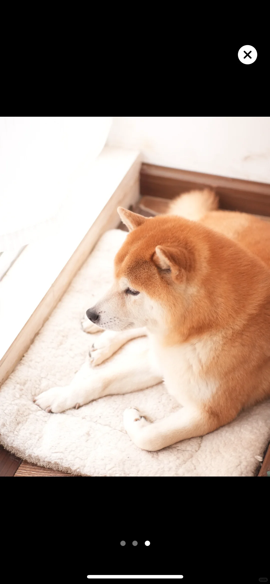 我开发了一个戒断app 真的强！强的可怕！