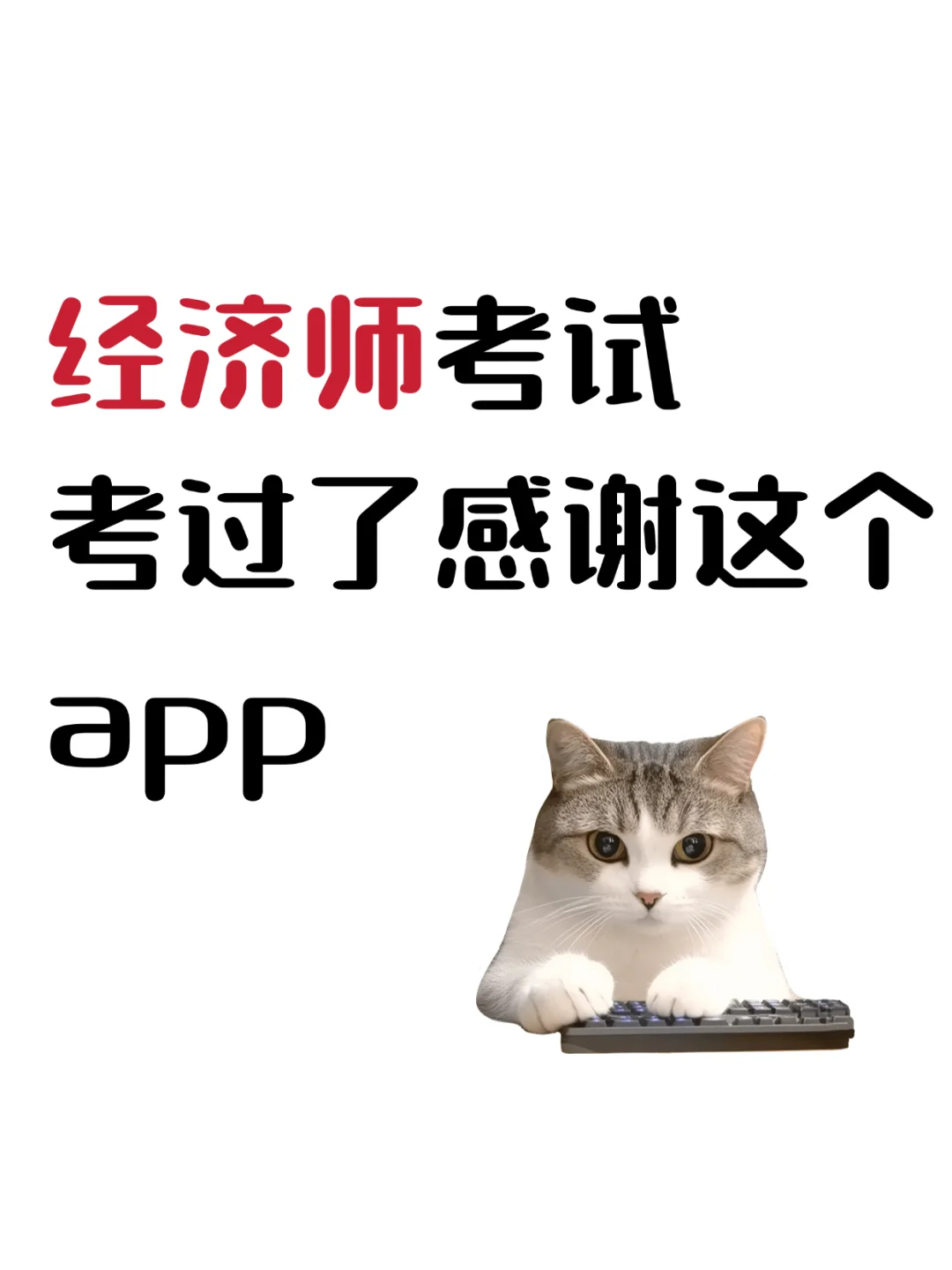 经济师备考快来锁定这个app！！