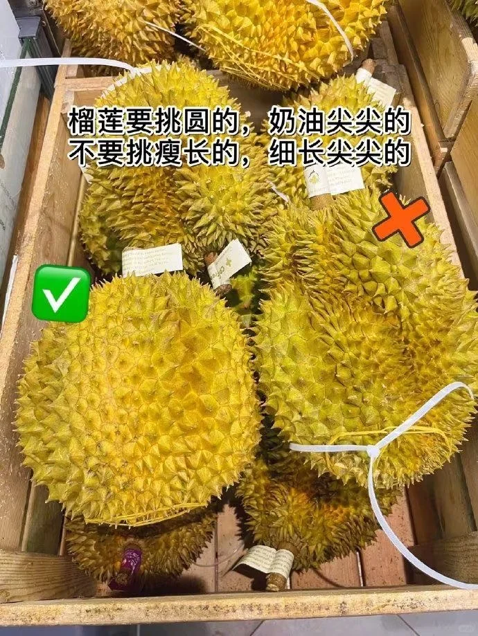 手机备忘录之———挑水果