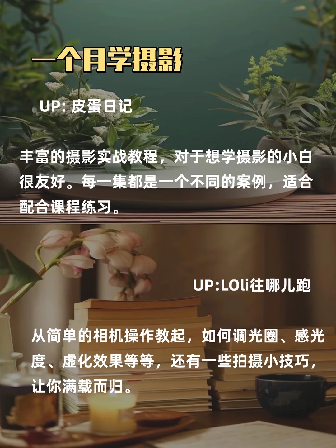 💻如果你有电脑，请死磕这 7 种技能💻