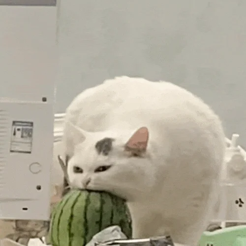 为什么好用的时间管理app都在ios！！！