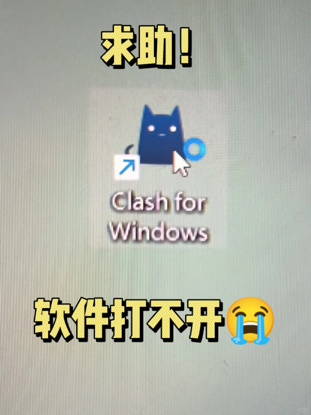 求助！下载的软件打不开😭