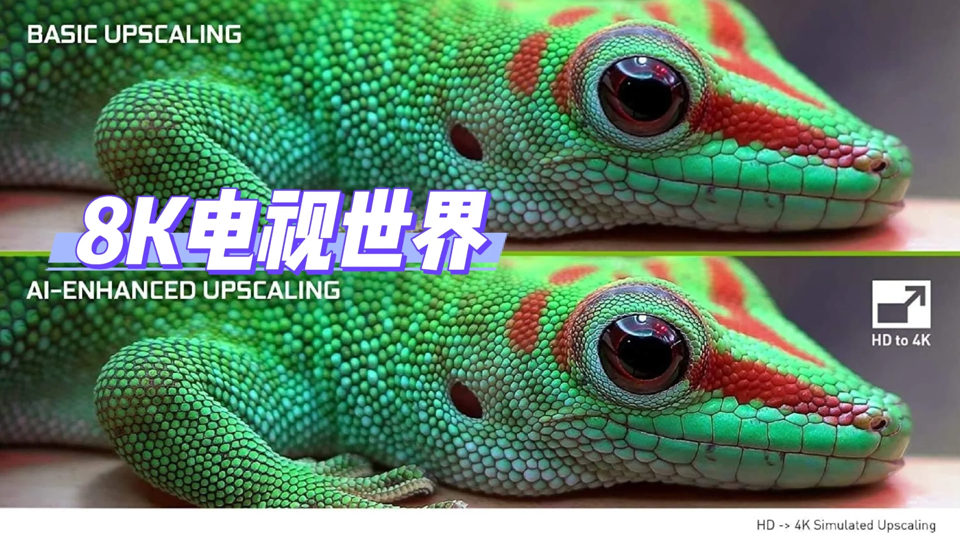 外贸盒子科普知识