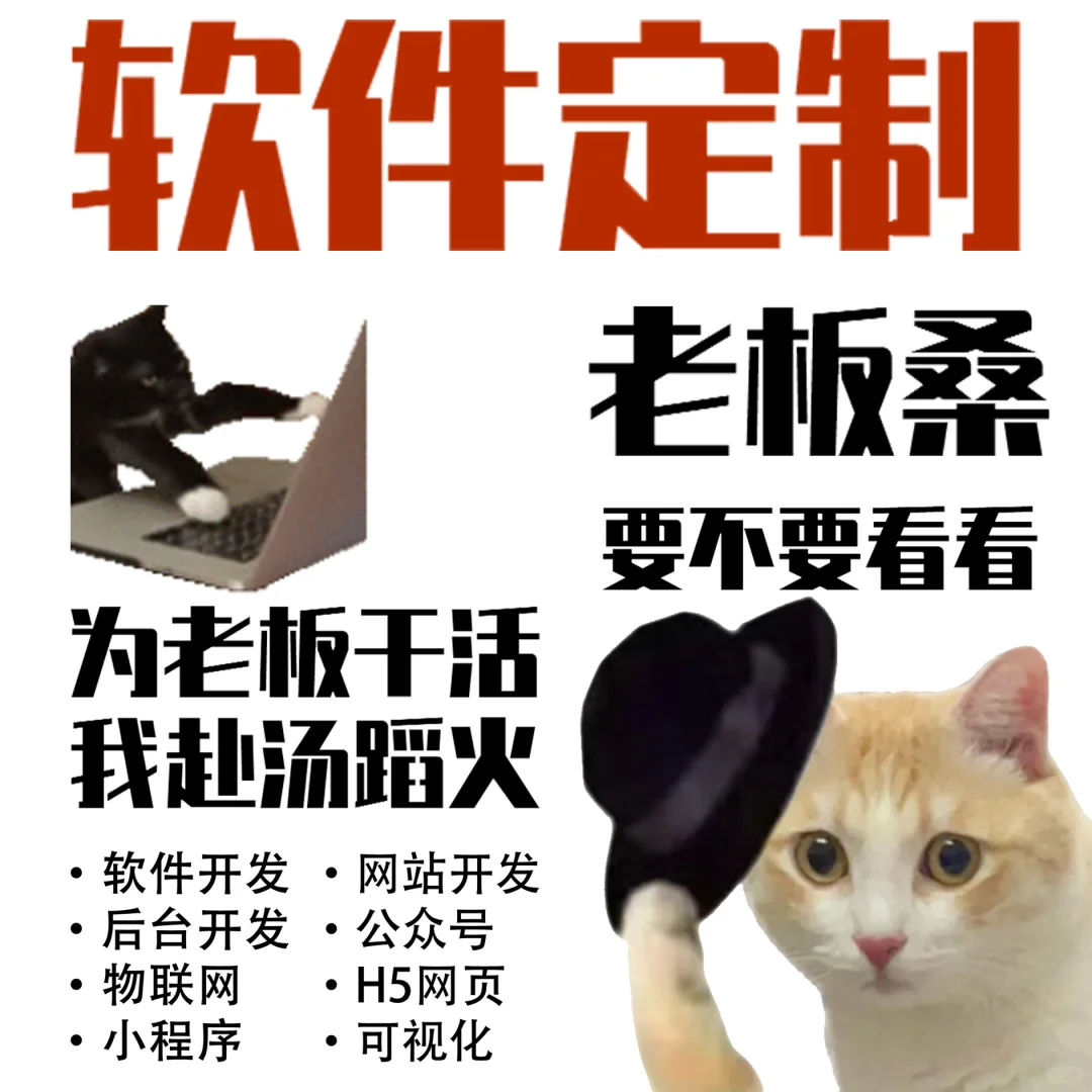 当00后在软件公司当运营