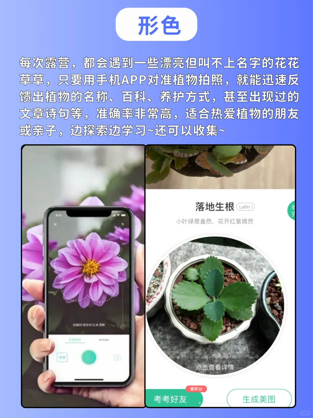 户外党必存❗这9个APP让露营体验感拉满！