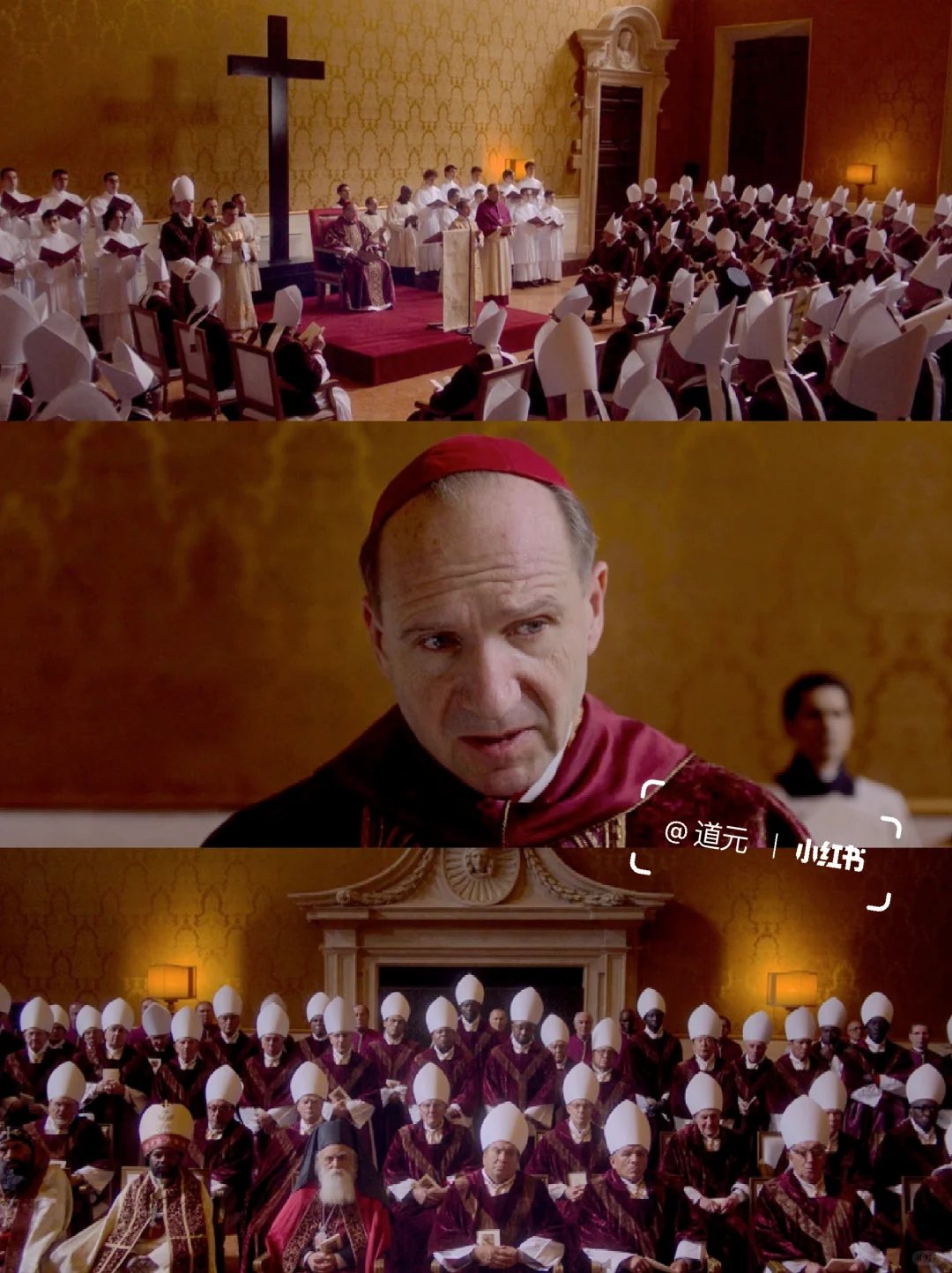 不愧是奥斯卡提名影片❗️好看疯了😭