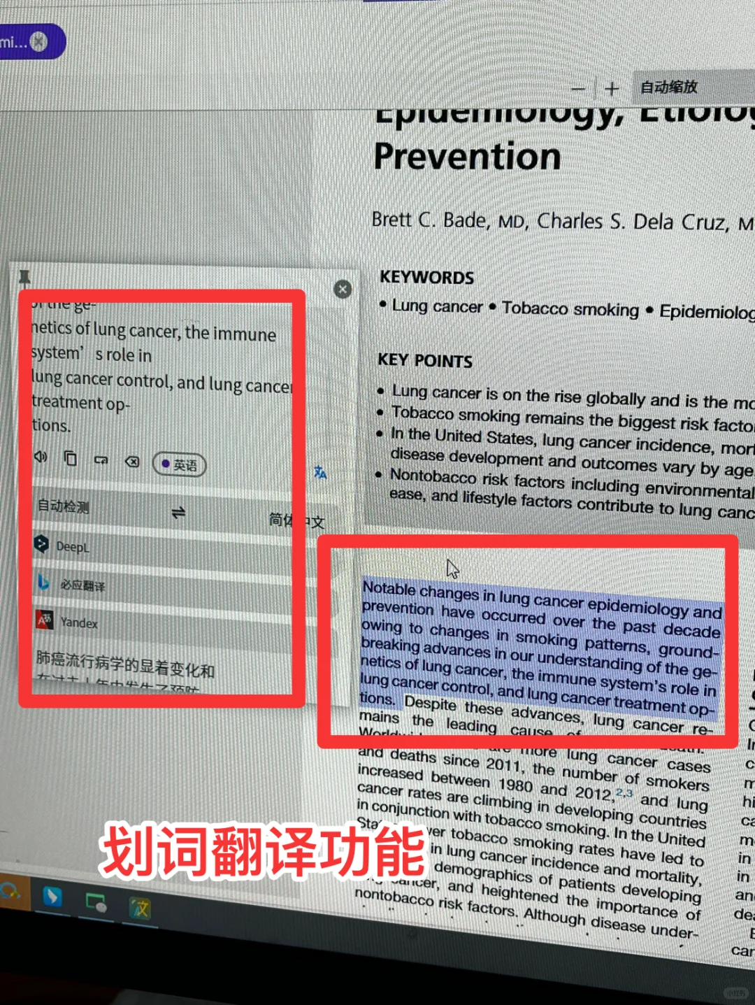 跨平台翻译利器，电脑里最后一个翻译软件