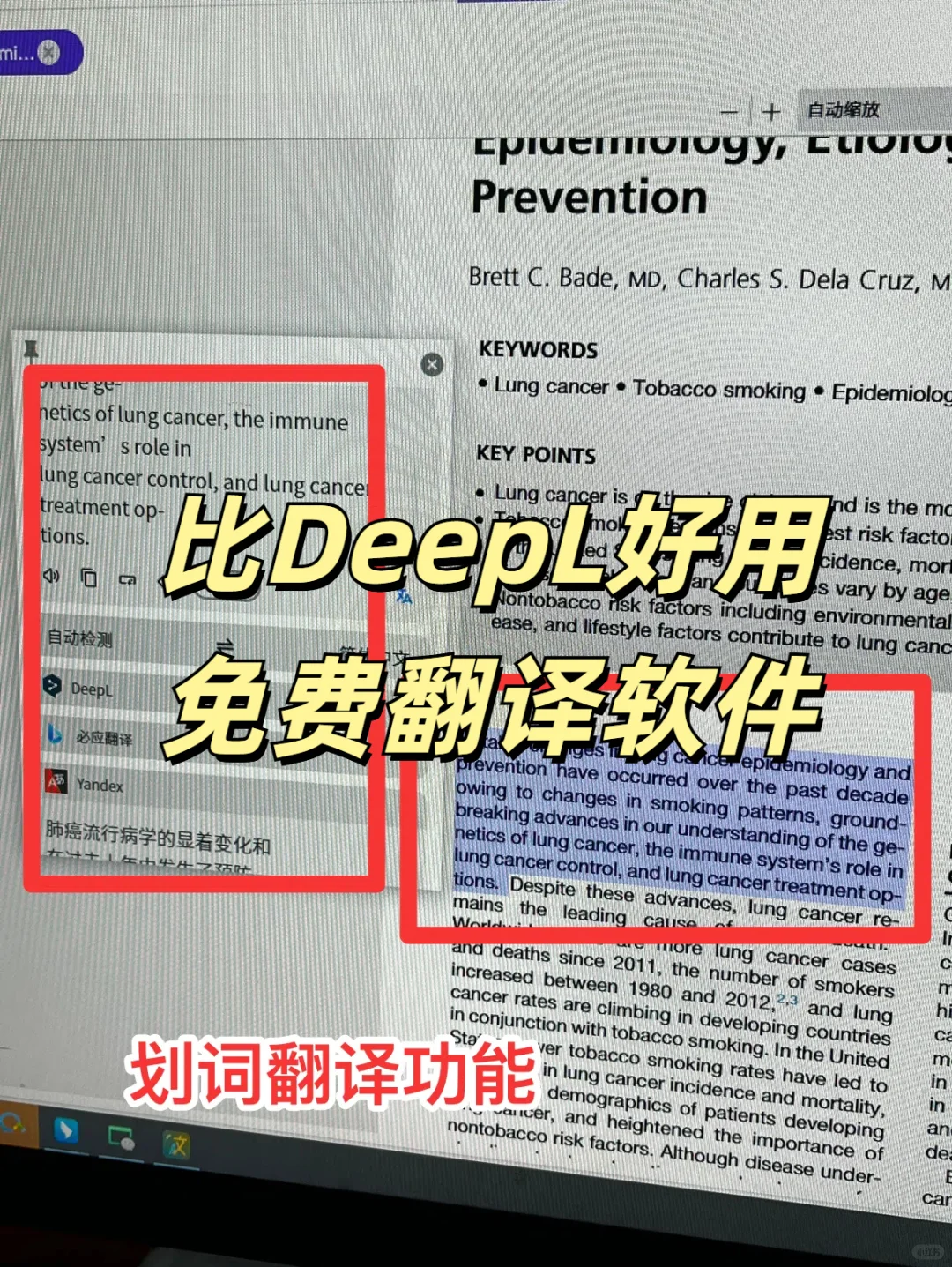 跨平台翻译利器，电脑里最后一个翻译软件