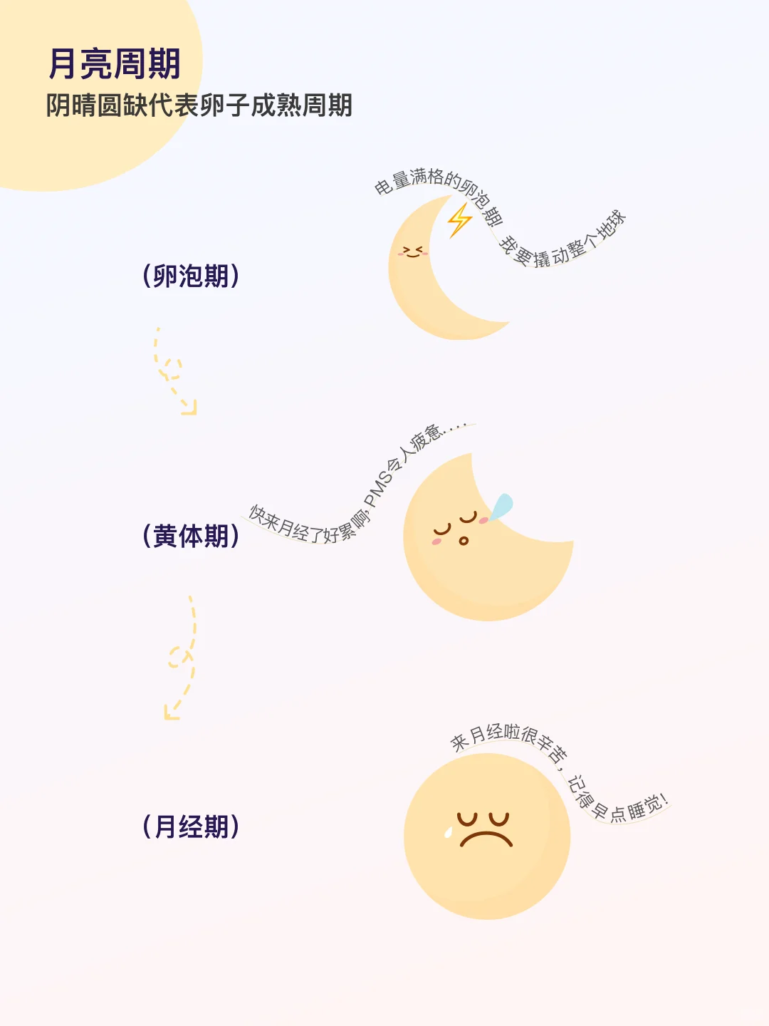 终于挖到一个女性友好的月经 app 了！