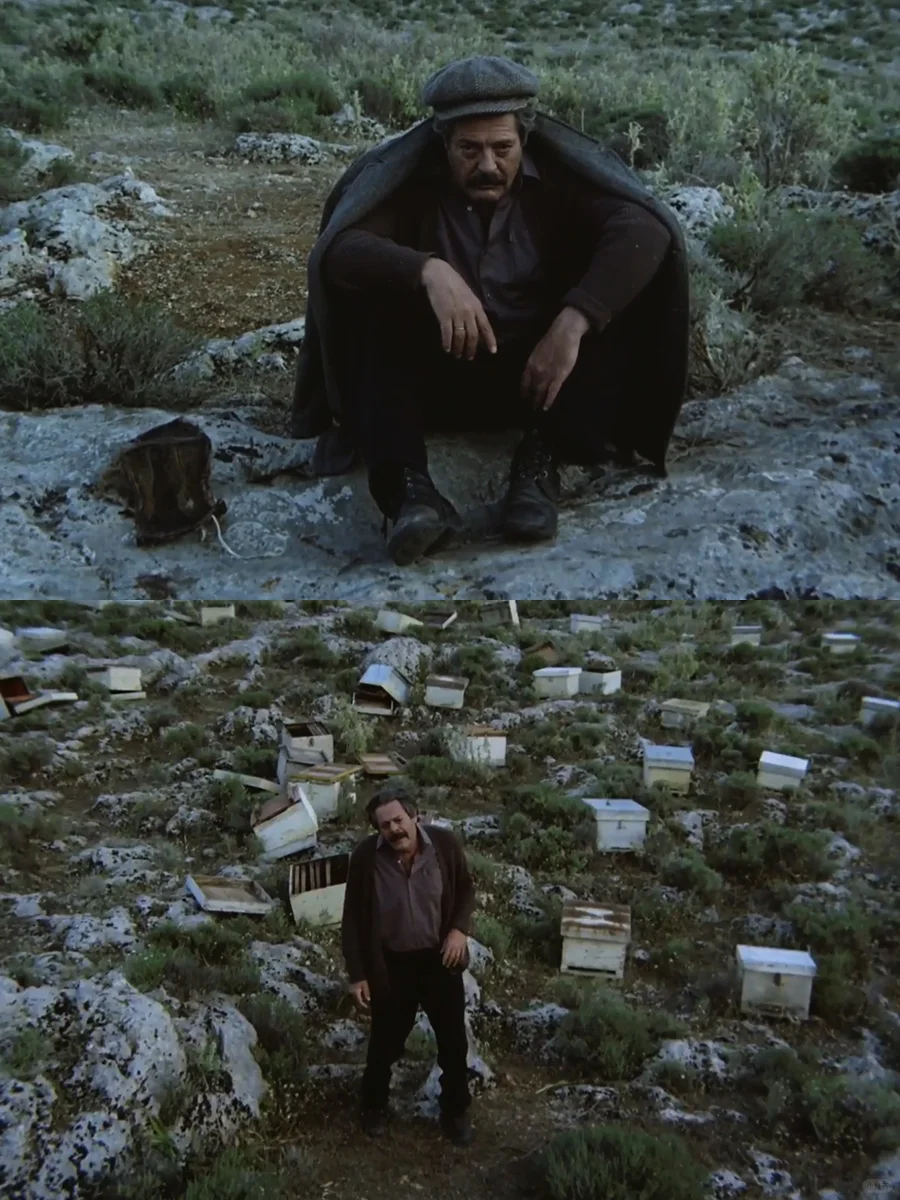 虚无主义必看的电影😭😭后劲儿太大了❗