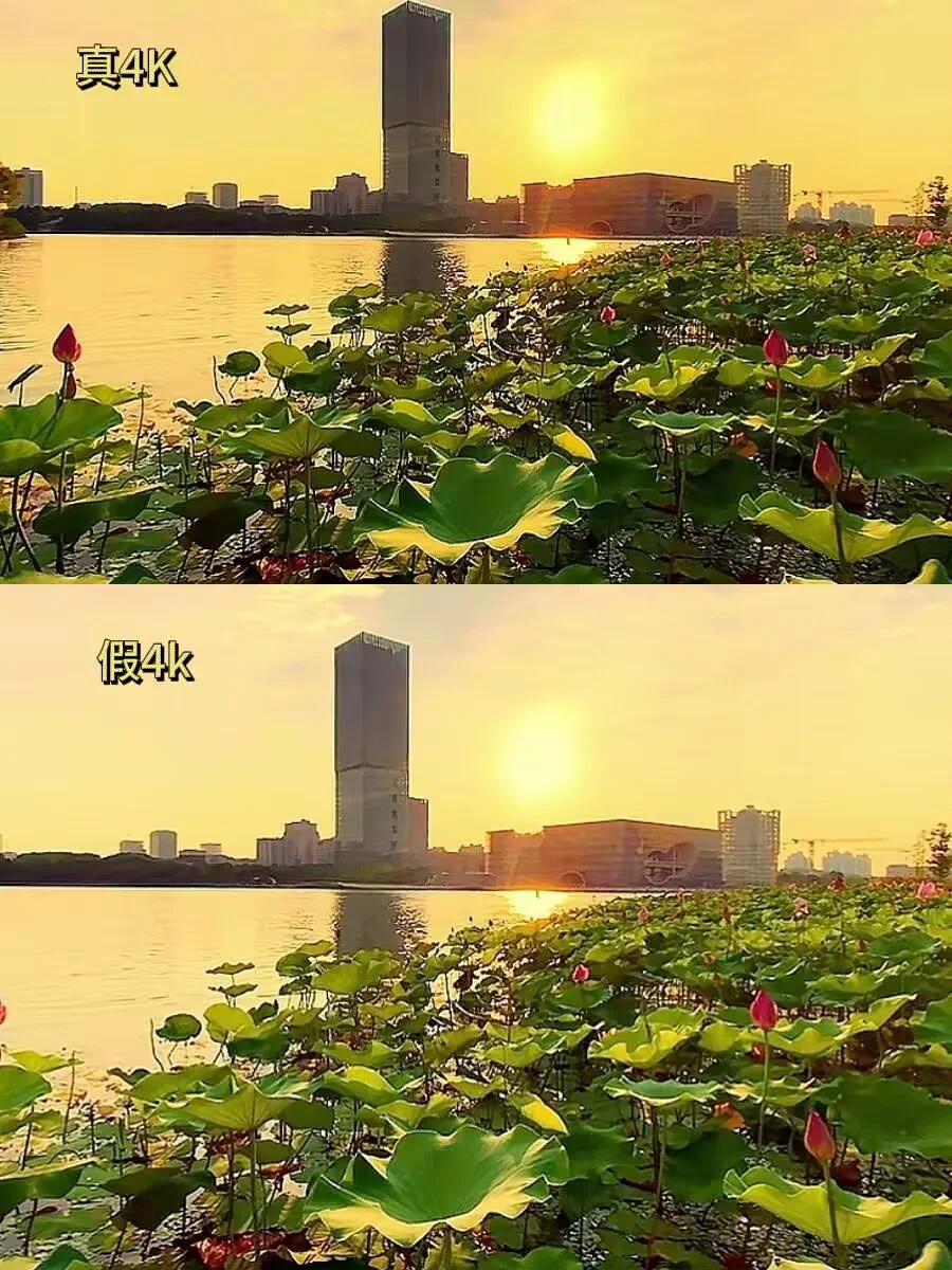 硬核推荐！免费看4K资源，良心到哭！