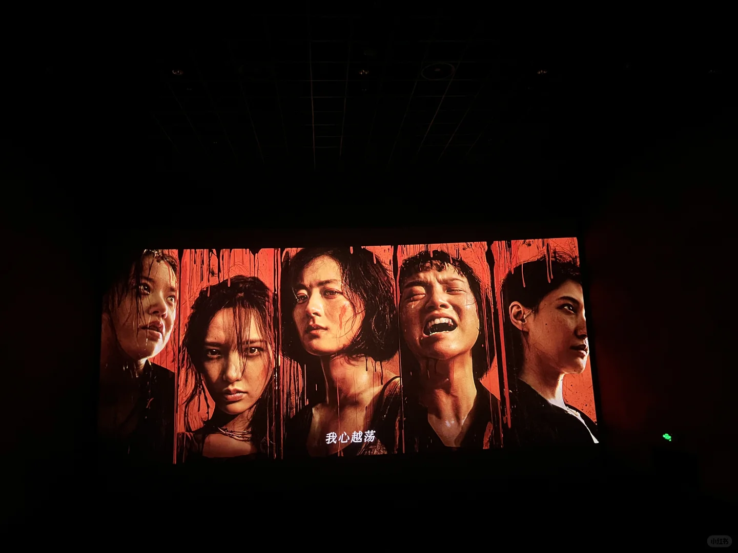 向阳花和不说话的爱都看了！