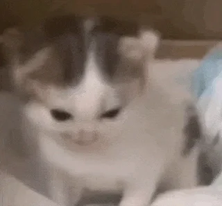 求苹果ios免费的软件源😁