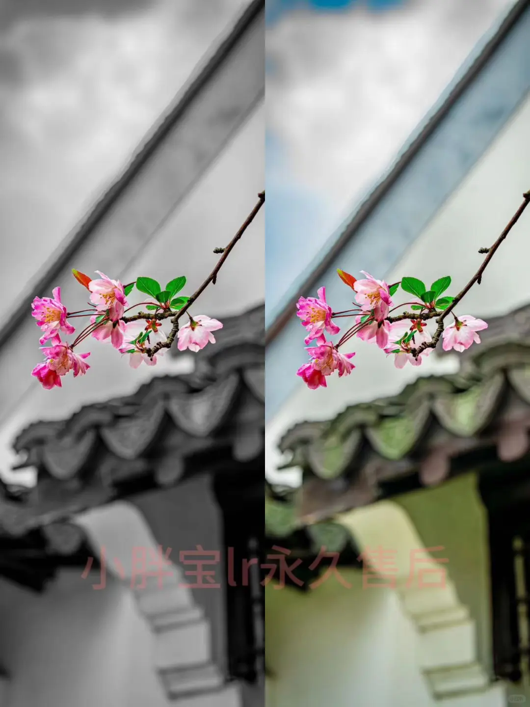 苹果lightroom手机版iPad安卓鸿蒙手机lr