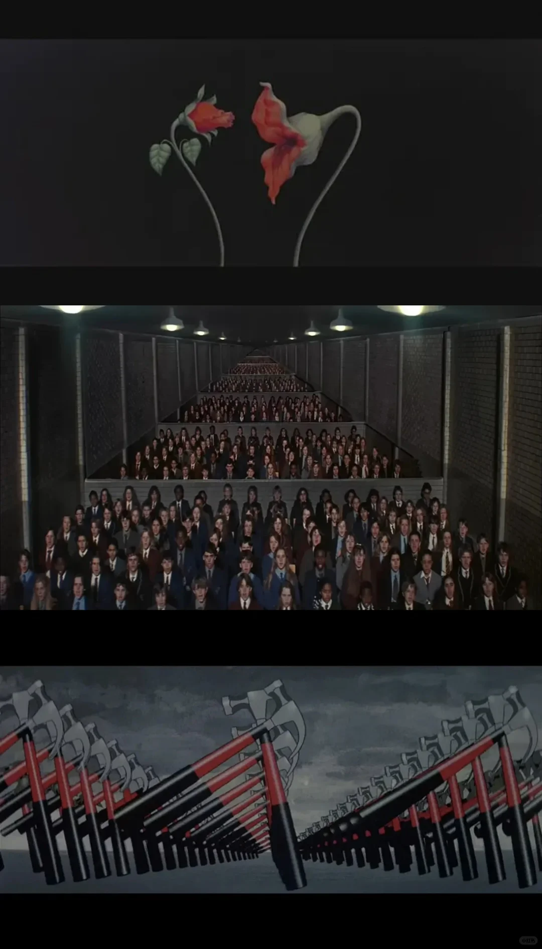 艺术PhD珍藏的9部电影推荐🎬