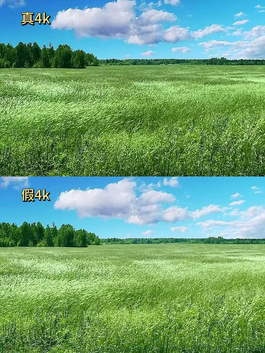 硬核推荐！免费看4K资源，良心到哭！