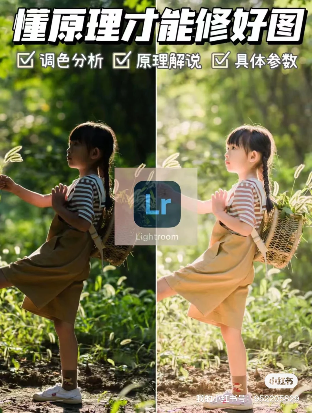 苹果lightroom手机版iPad安卓鸿蒙手机lr