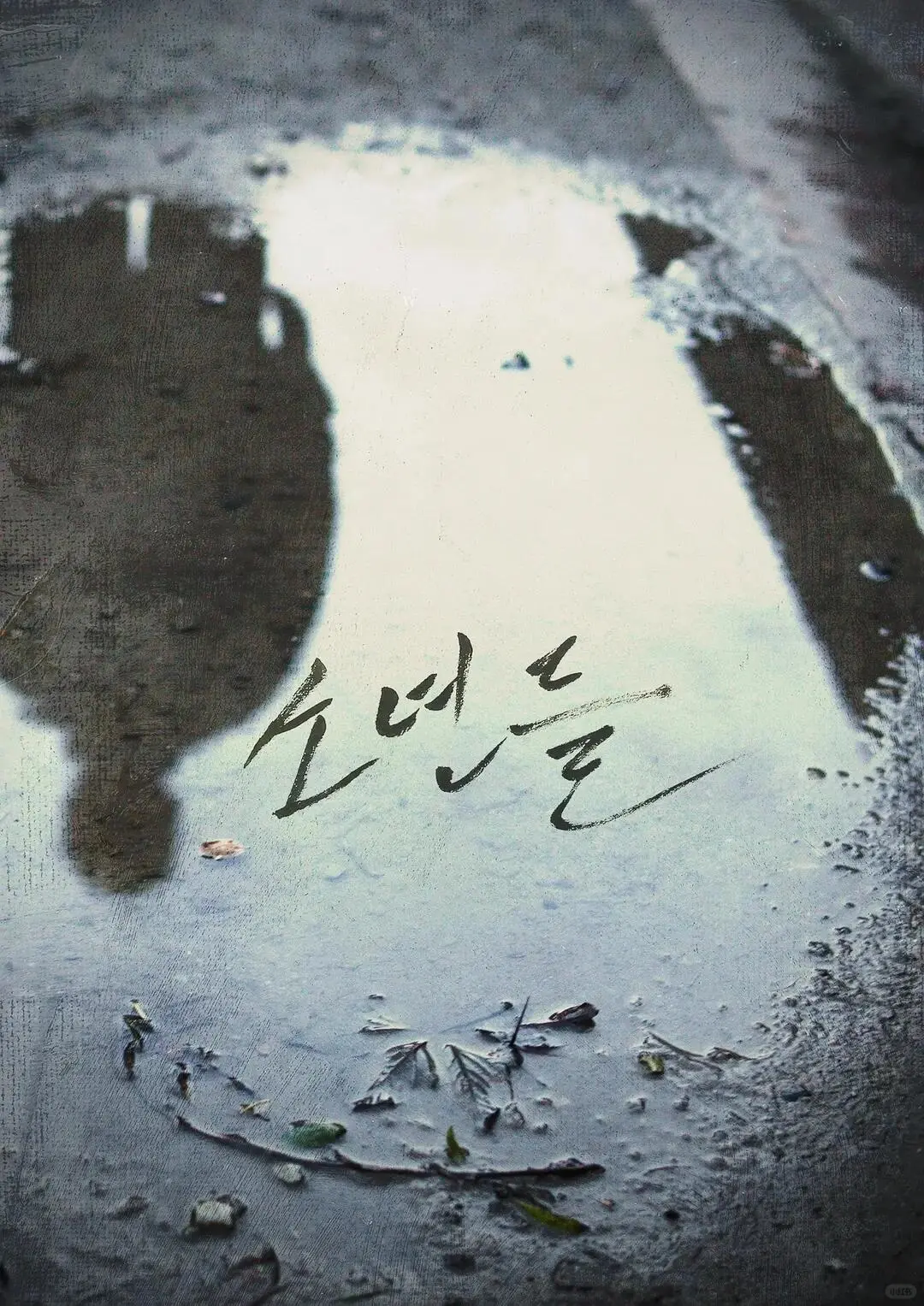 由真实案件改编‼️全程高能无尿点❗速冲