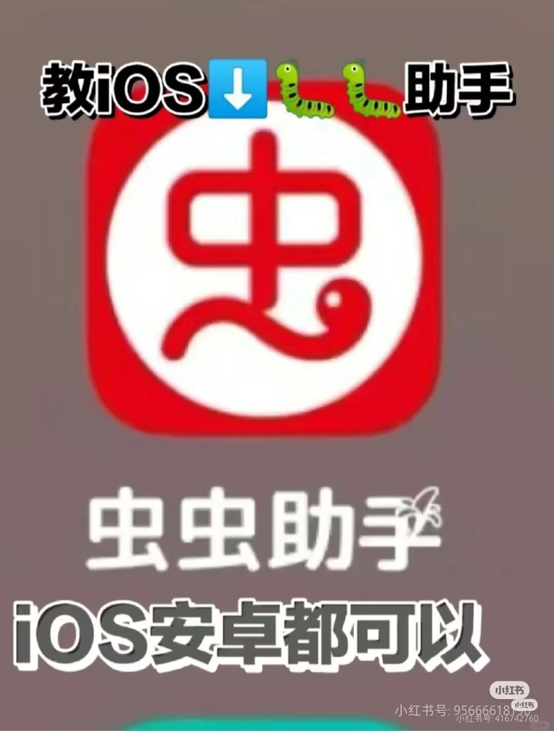 教iOS助手！📱