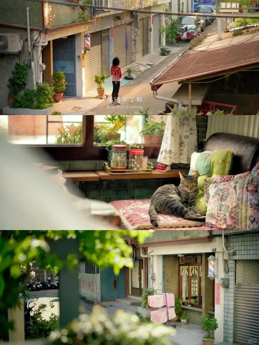 🌟又挖到冷门佳作,台湾电影狠狠治愈了淡人