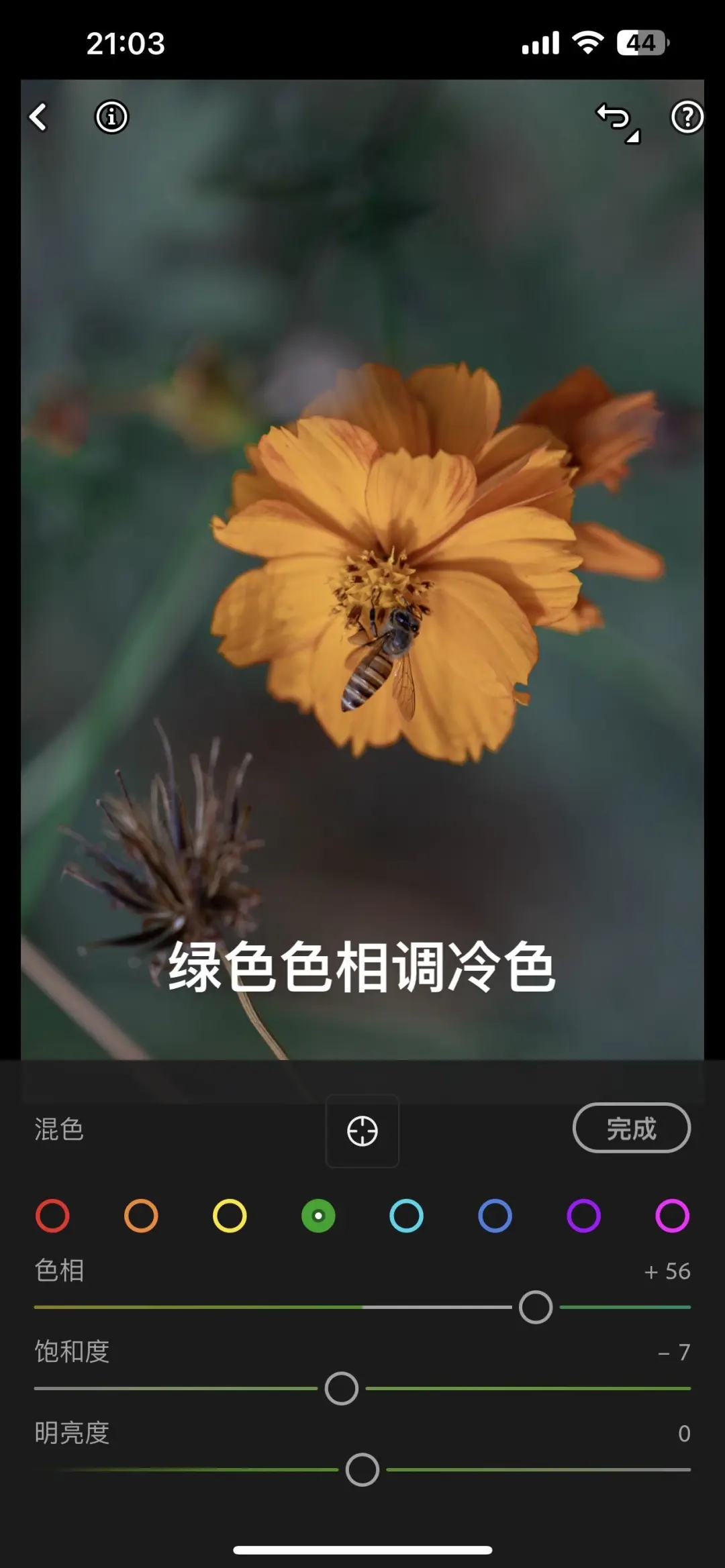 Lightroom永久高级版4.88💰永久使用!