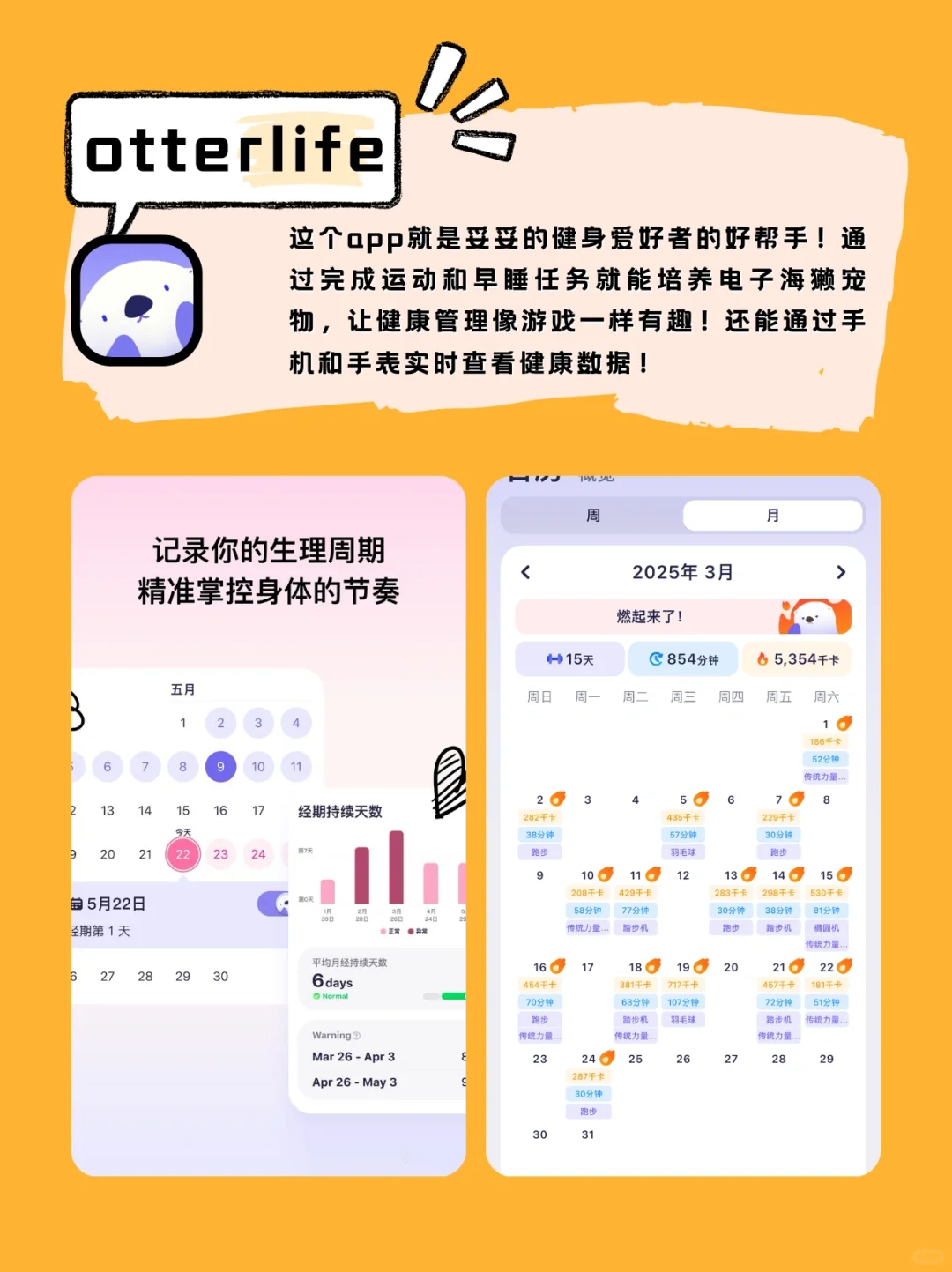小众但宝藏的效率app！掏心窝子分享