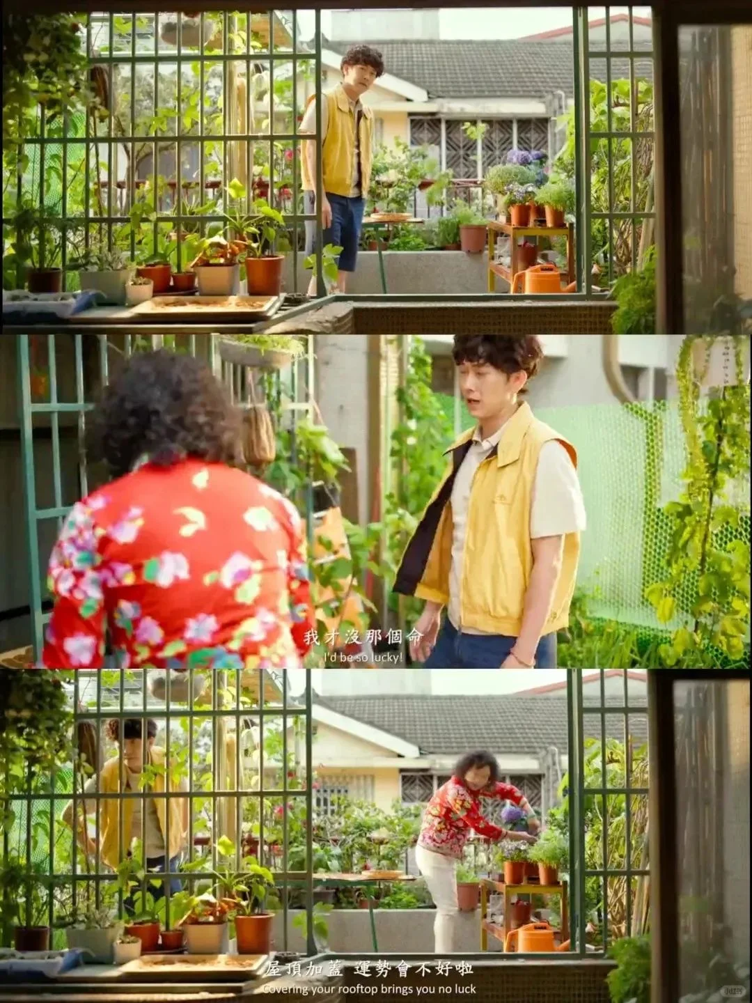 🌟又挖到冷门佳作,台湾电影狠狠治愈了淡人