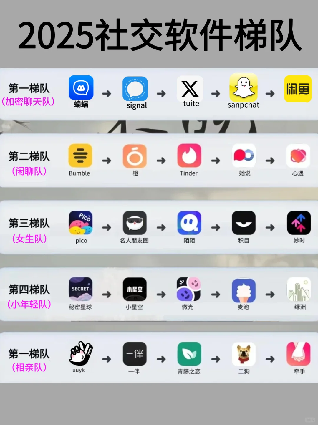 2025社交软件梯队