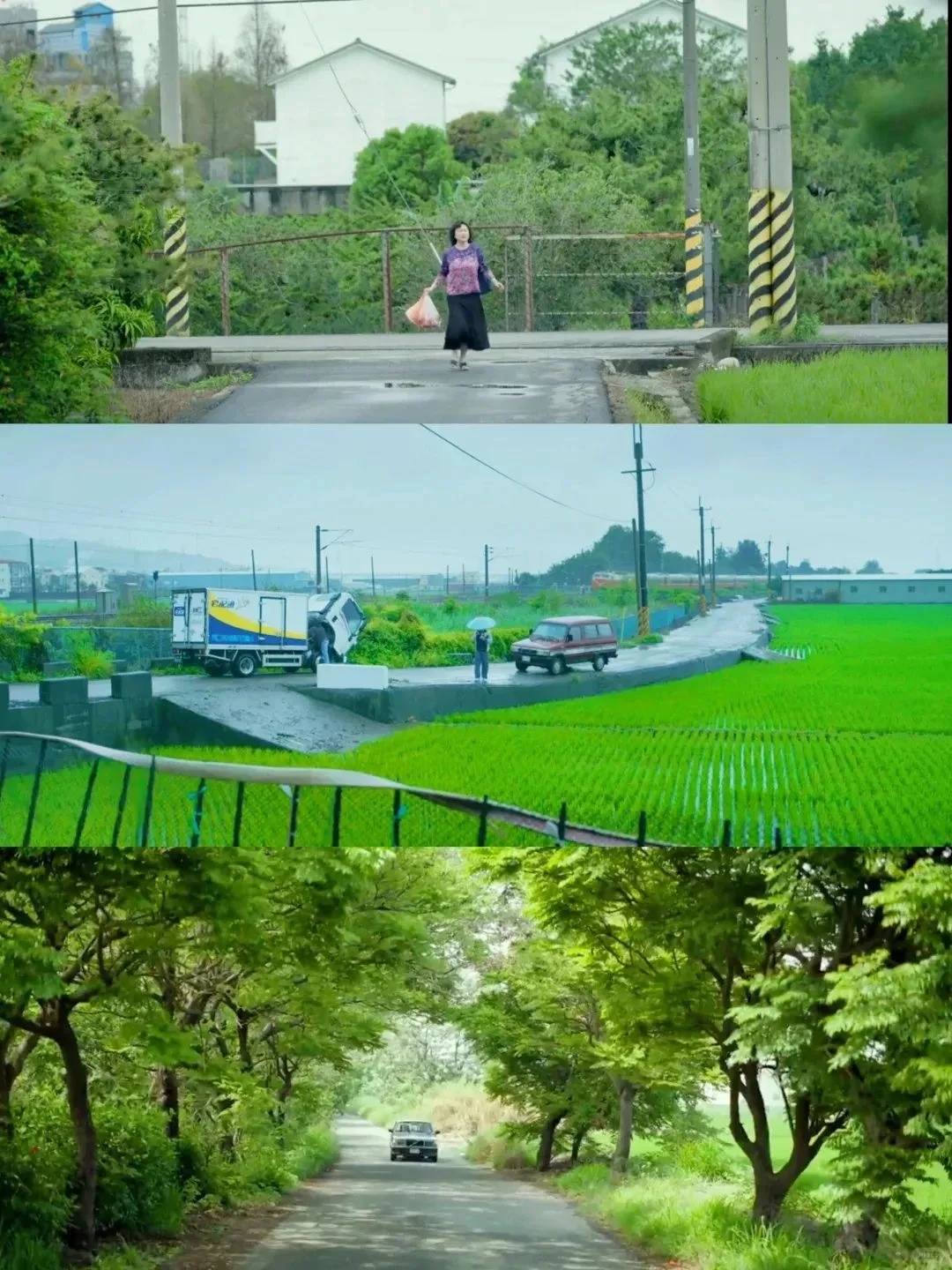 🌟又挖到冷门佳作,台湾电影狠狠治愈了淡人