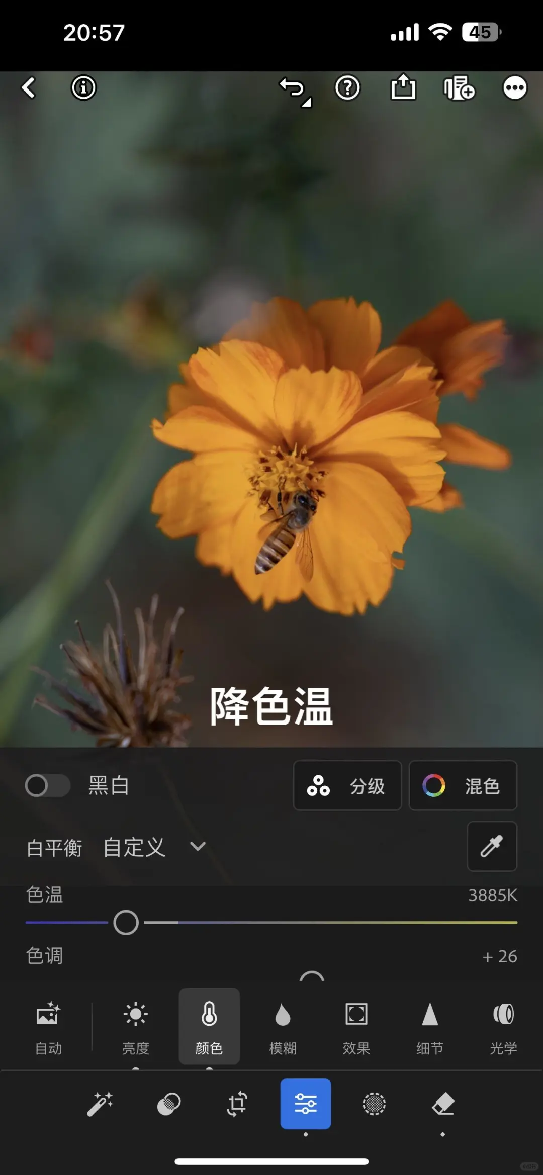 Lightroom永久高级版4.88💰永久使用!