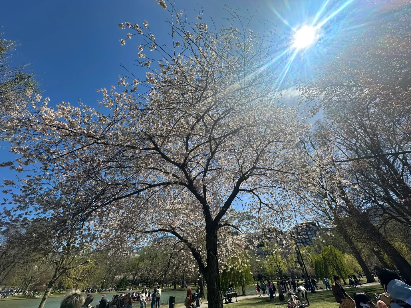 其实心情不好的时候真的可以试试date app