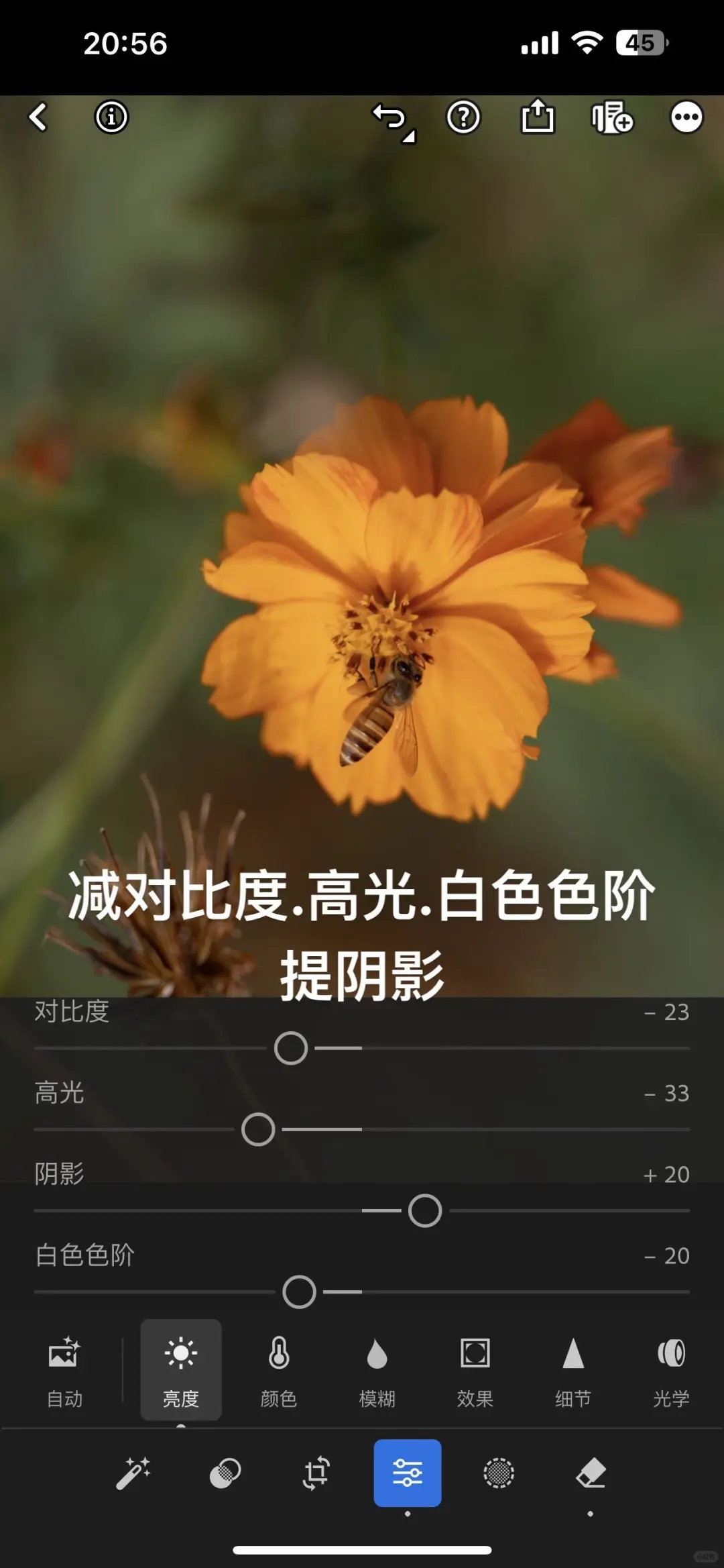 Lightroom永久高级版4.88💰永久使用!