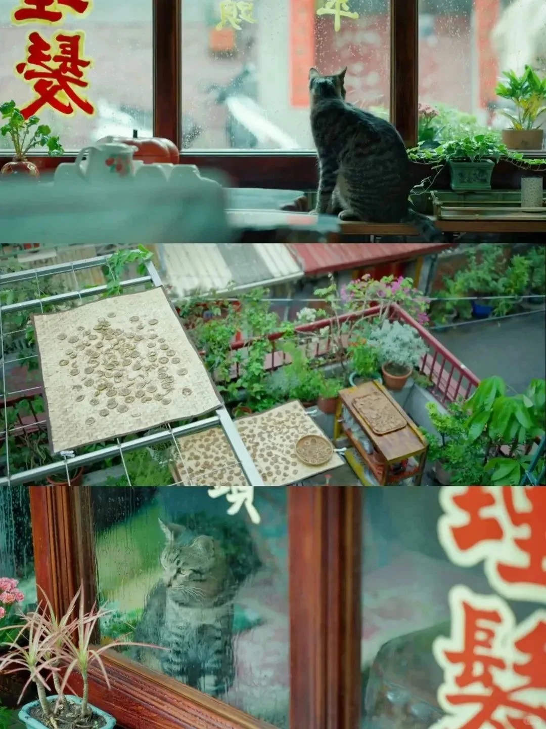 🌟又挖到冷门佳作,台湾电影狠狠治愈了淡人