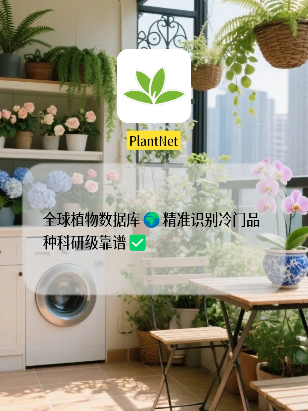 阳台种植神器!8款app助你秒变种植高手✨