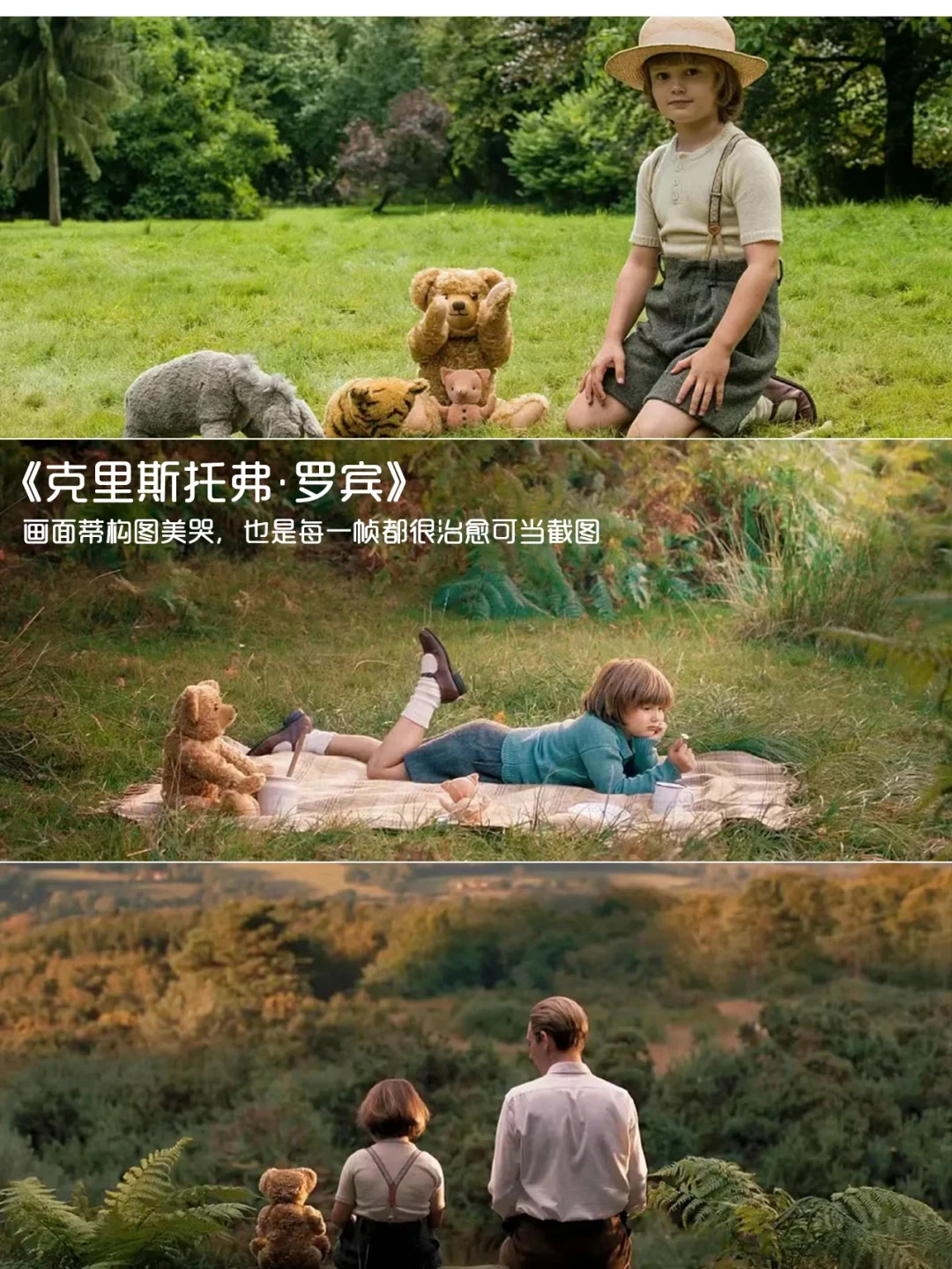 强烈推荐‼️提高审美必看的12部电影