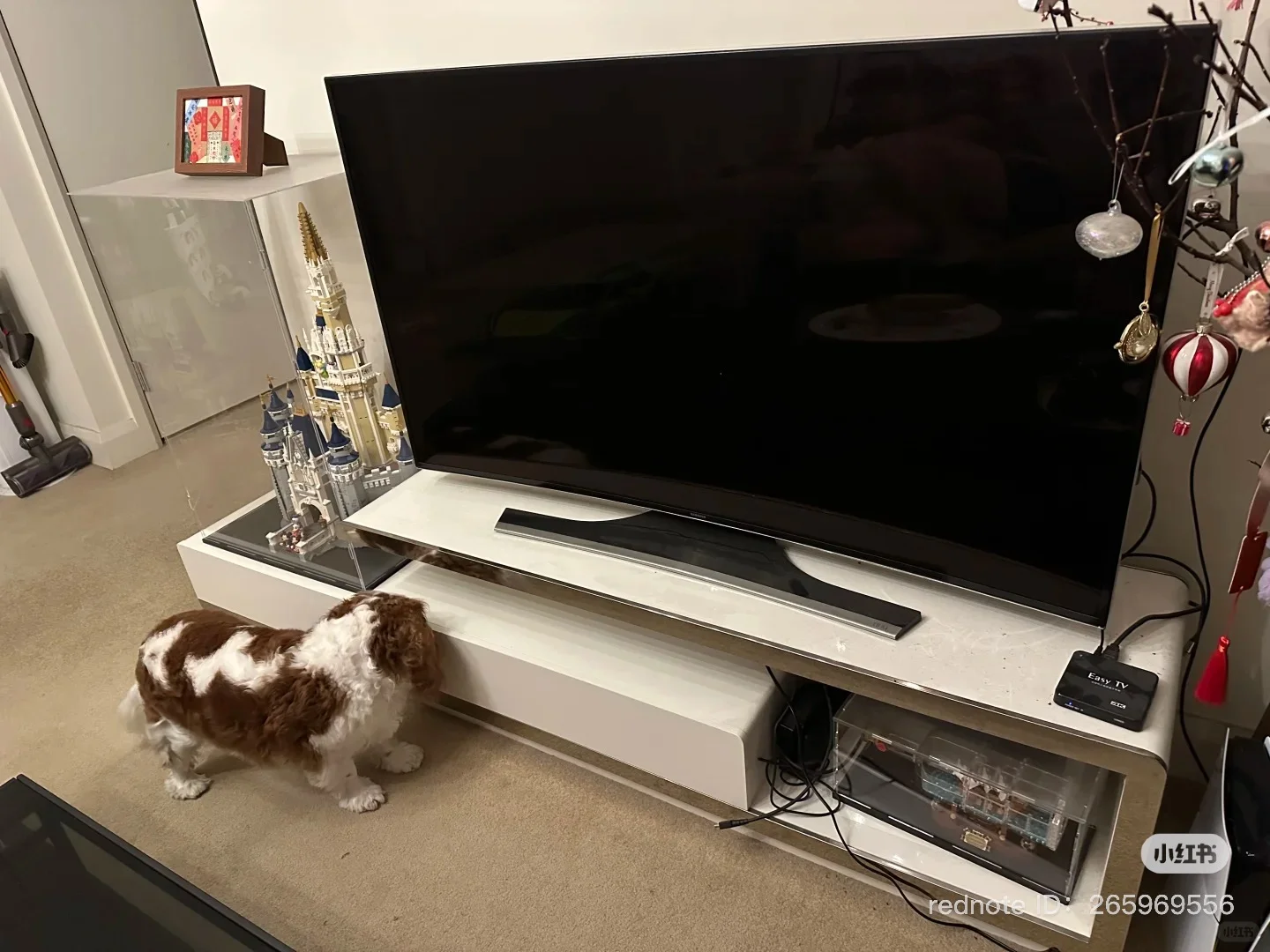 悉尼闲置电视出售