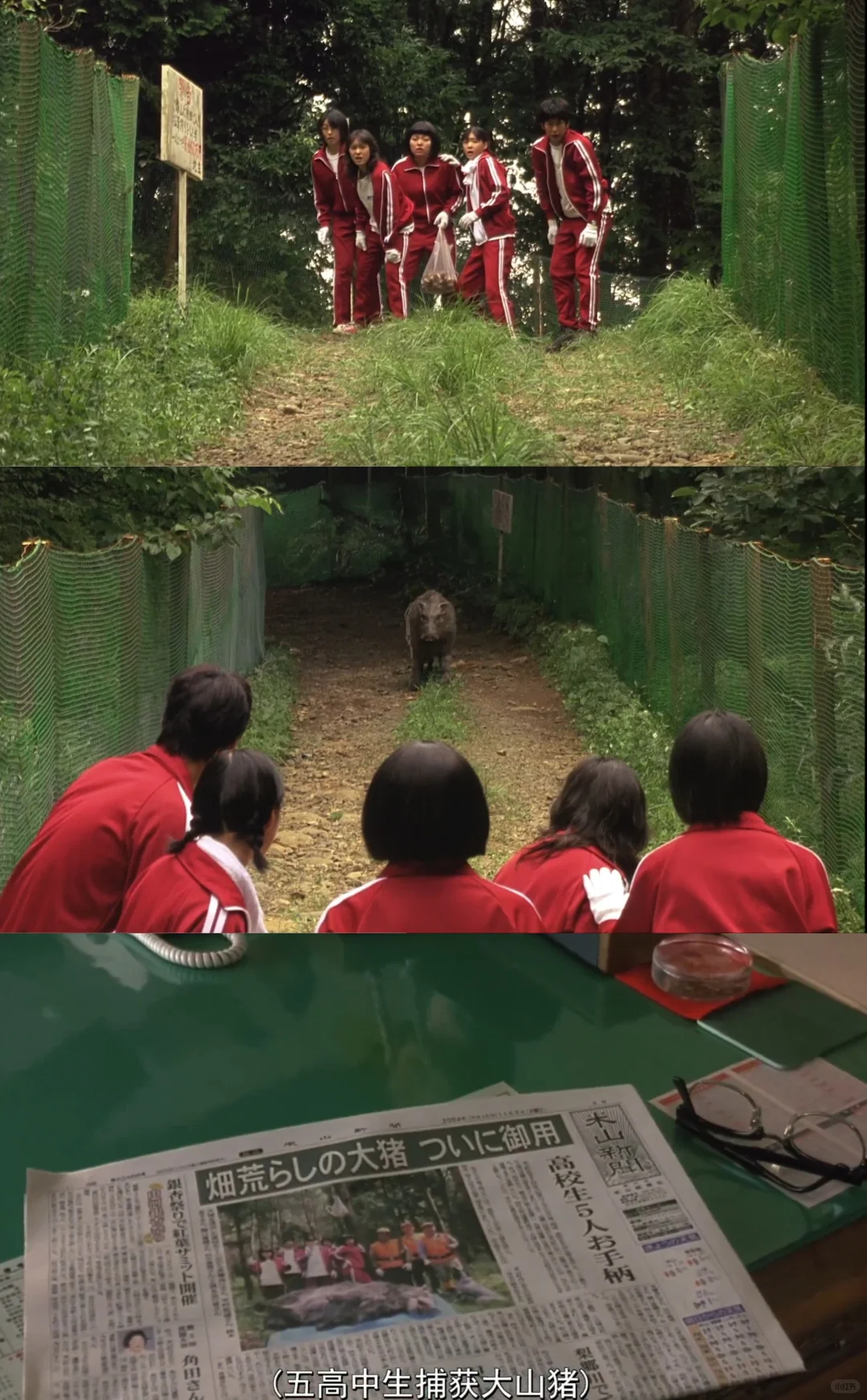 最近看的两个电影