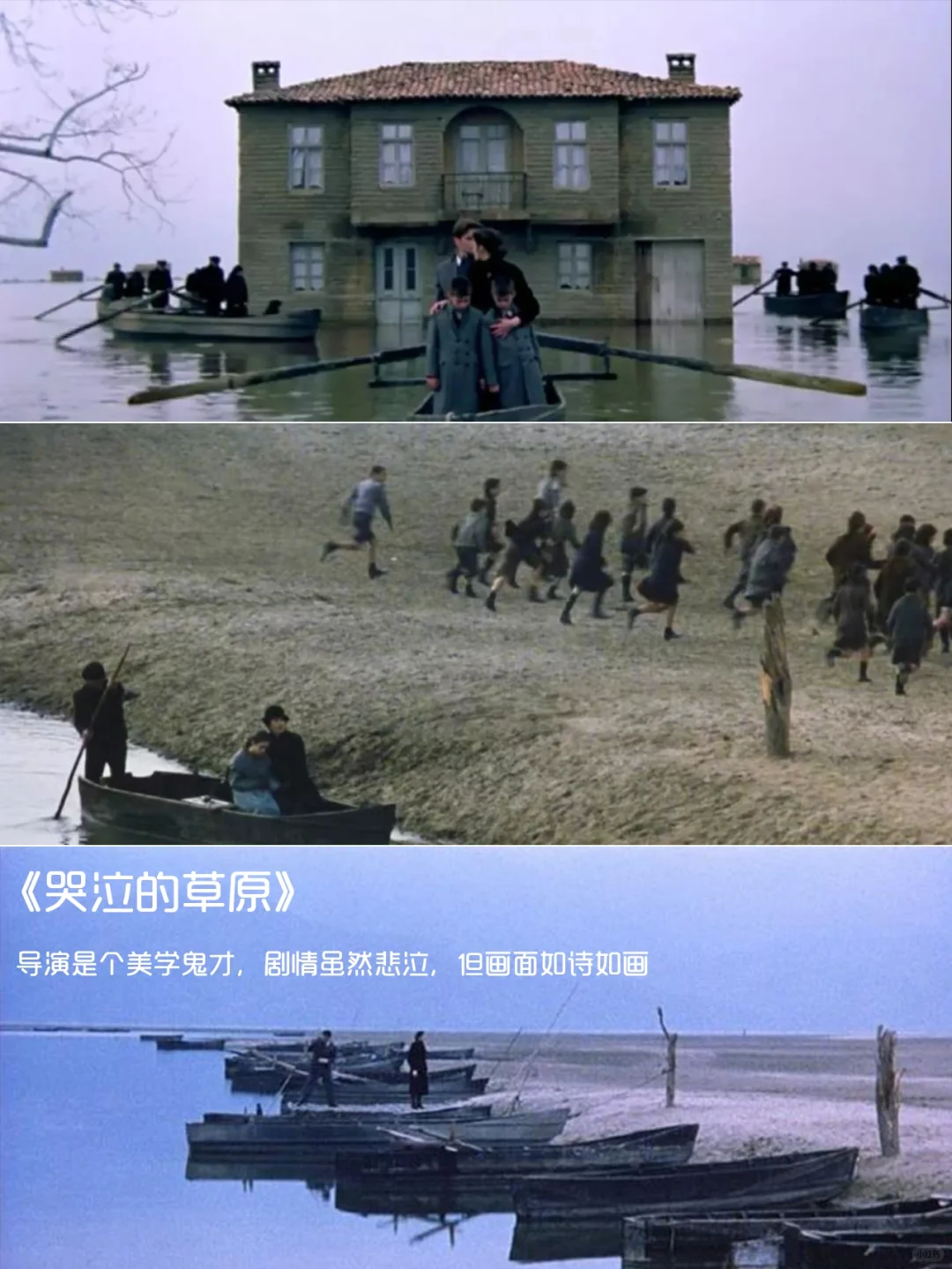 强烈推荐‼️提高审美必看的12部电影