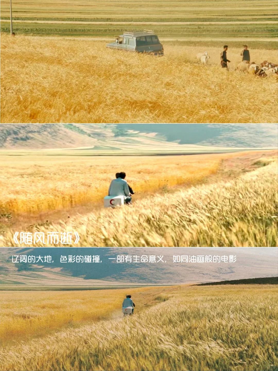 强烈推荐‼️提高审美必看的12部电影