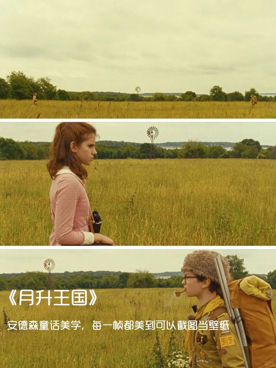 强烈推荐‼️提高审美必看的12部电影