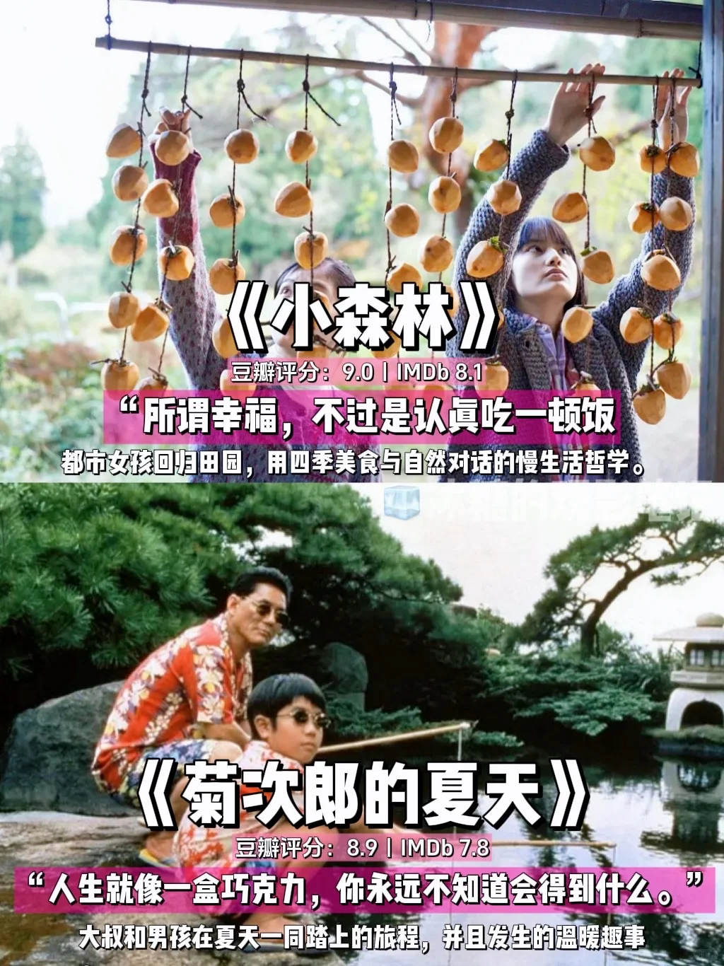 必看❗18部治愈系电影，一键驱散所有emo