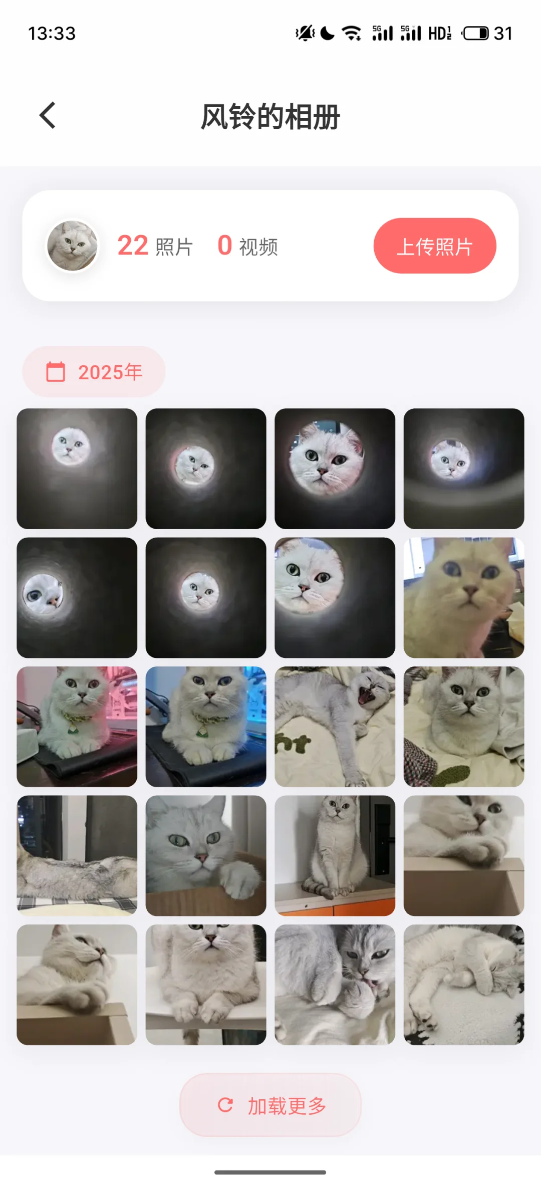 换手机之后，我自己做了一个记录宠物的APP