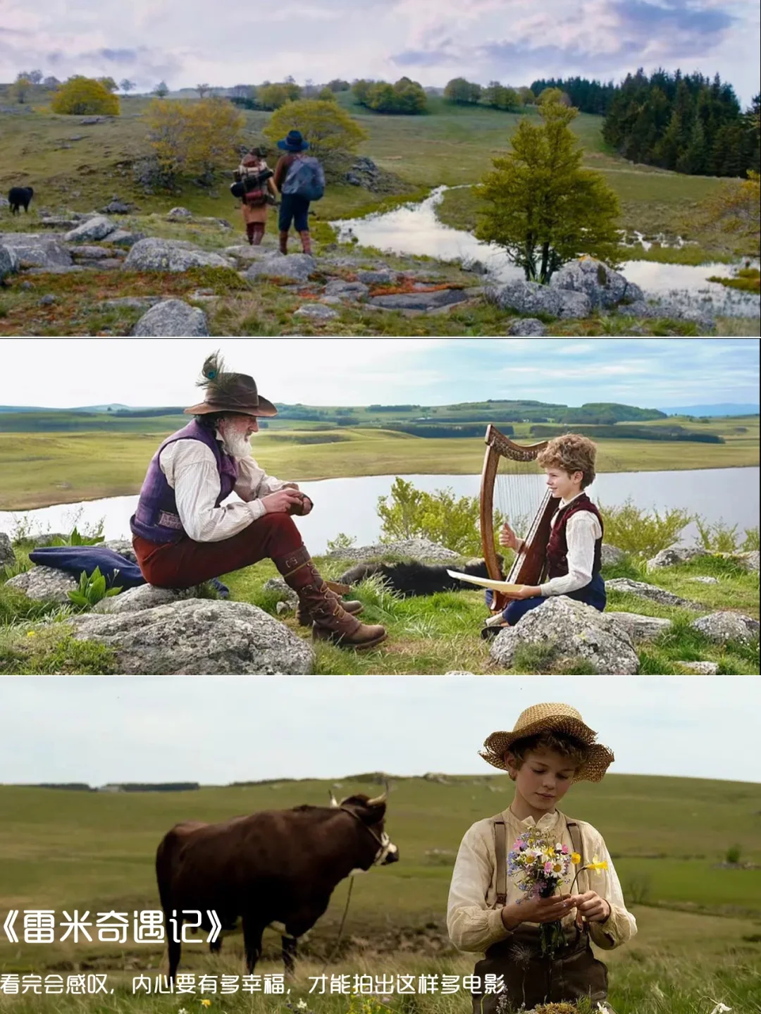 强烈推荐‼️提高审美必看的12部电影