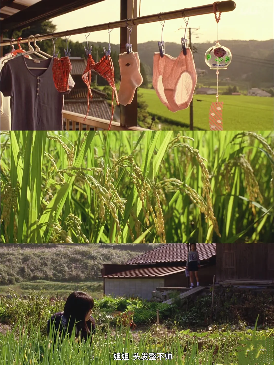 看800遍都不够!!! 😭一切都太过太过美好!